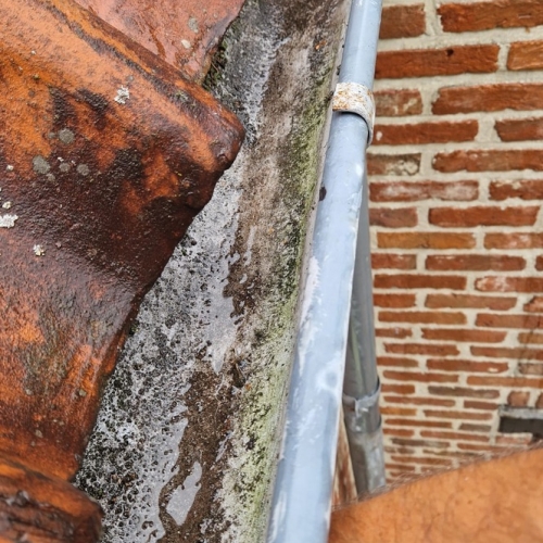 851828AA 5BAF 424B B979 2A28585C9B40 1 105 C