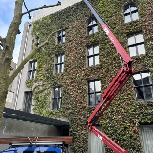 8D5ABD1C D046 47B2 B77E 063670E8D009 1 105 C