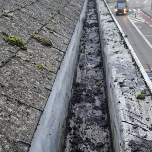 F4DD478B B919 46CE AC74 F5009354314E 1 105 C